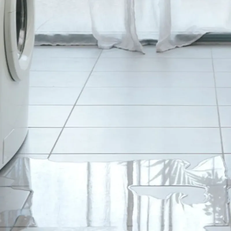 Appliance Leak Cleanup in Gulf Shores, AL