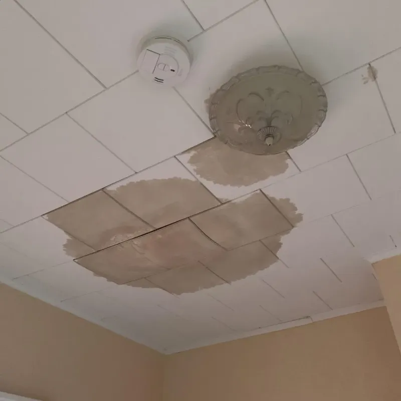Ceiling Water Damage Repair in Gulf Shores, AL